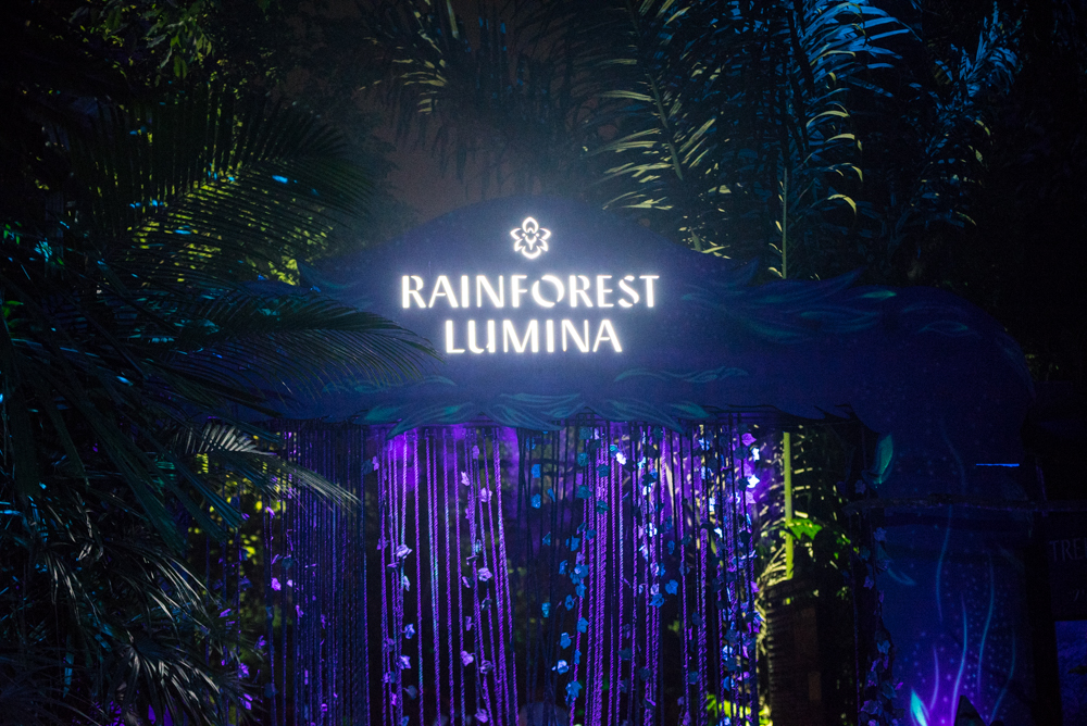 Rain Forest Lumina Singapore Lai de Guzman Photography